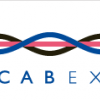 2013年俄罗斯国际电线电缆展览会（Cabex 2013）
